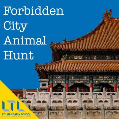 Forbidden City Animal Hunt - How Does it Work?