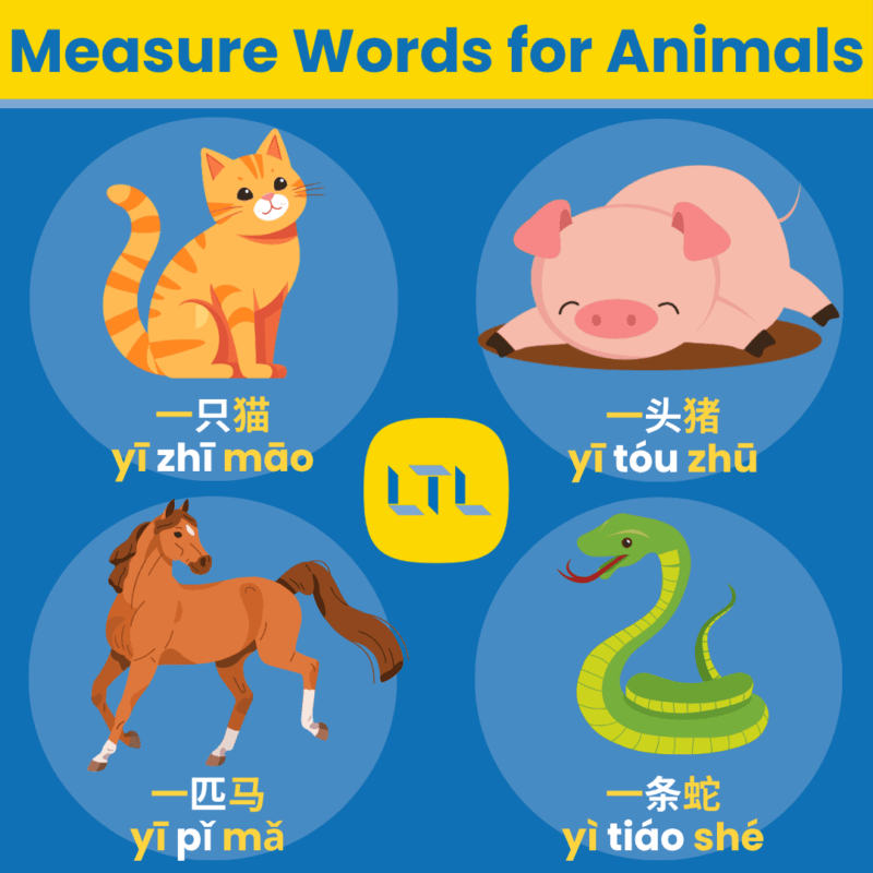 Chinese Measure Words - animals