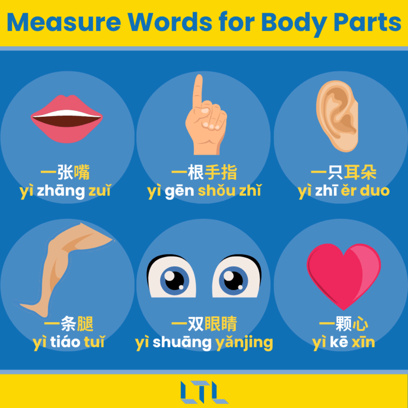 Chinese Measure Words - body parts