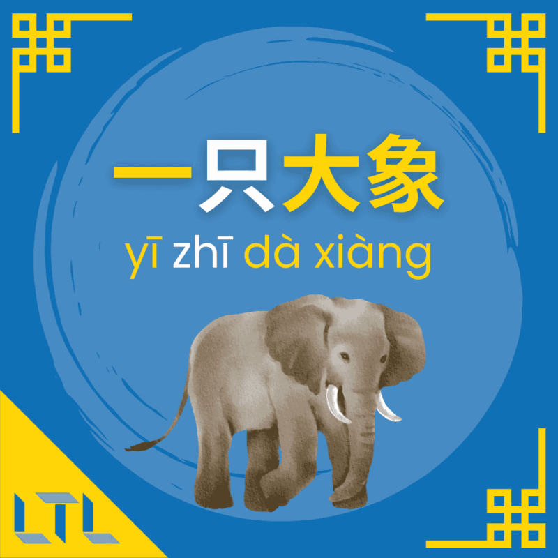 Chinese Measure Words - elephant