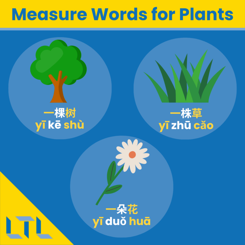 Chinese Measure Words - plants