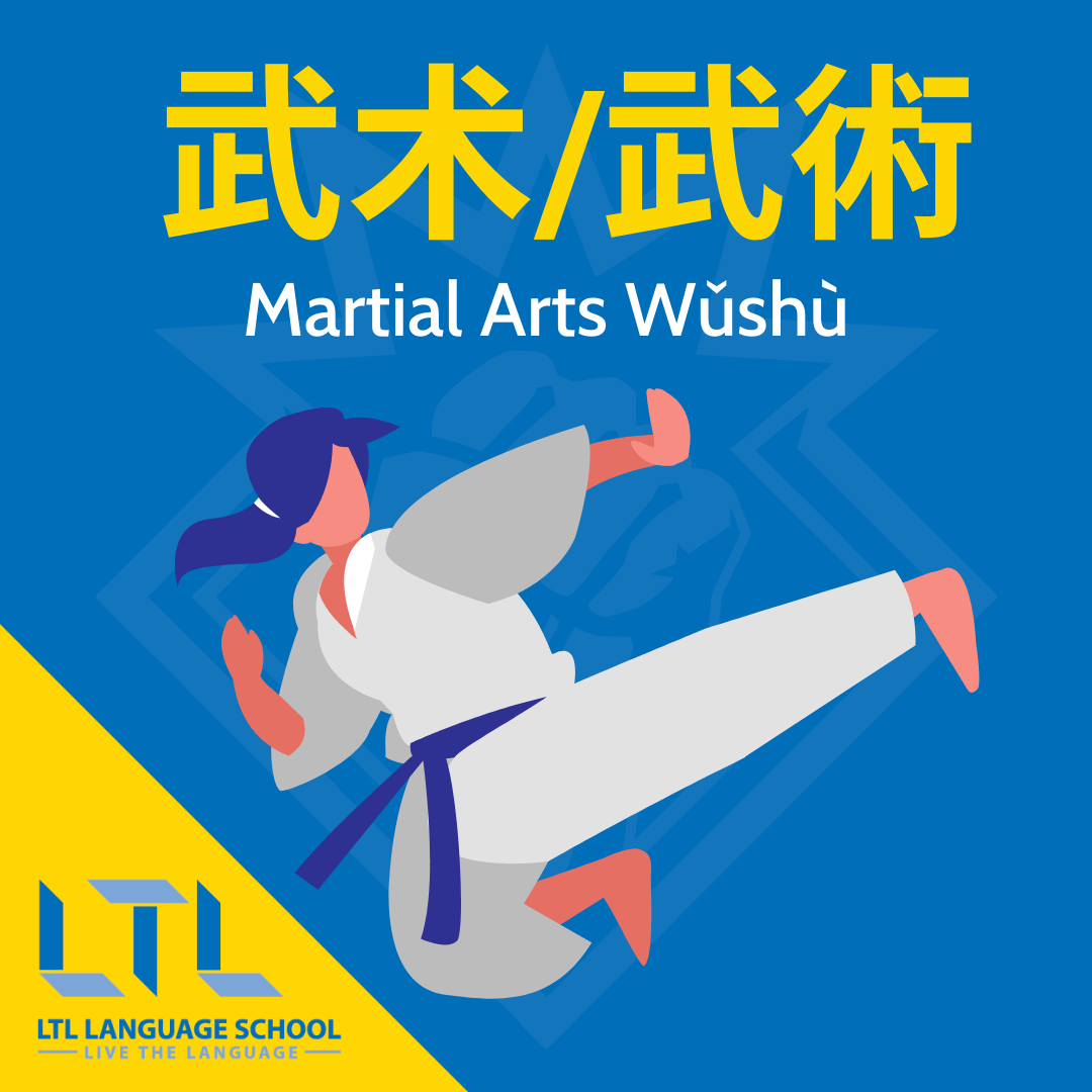 Chinese Martial Arts (Top 10 Myths Debunked) + BONUS Vocab
