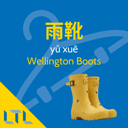 Wellington boots in Chinese